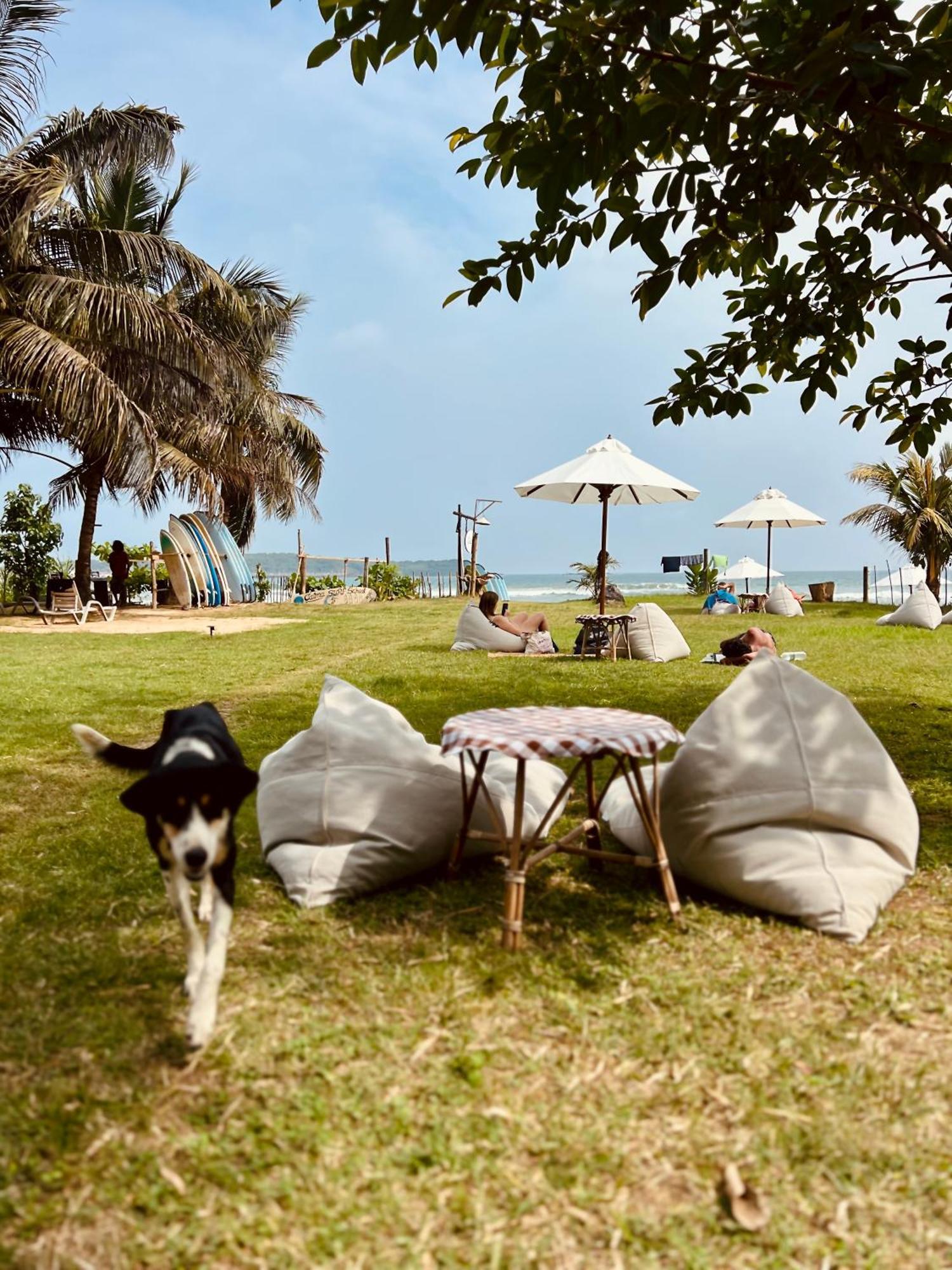Calma - Surf, Yoga & Coffee On A Private Beach Dickwella Exterior foto