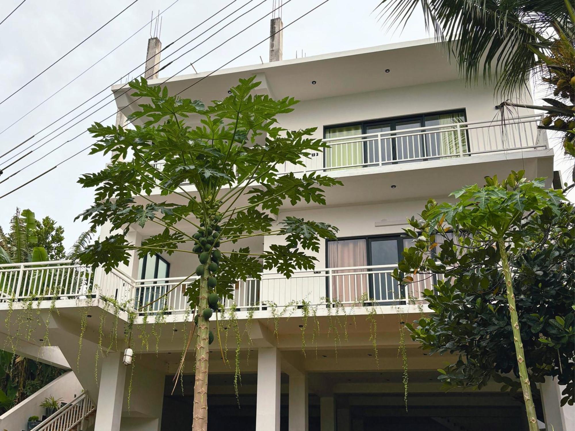 Calma - Surf, Yoga & Coffee On A Private Beach Dickwella Exterior foto