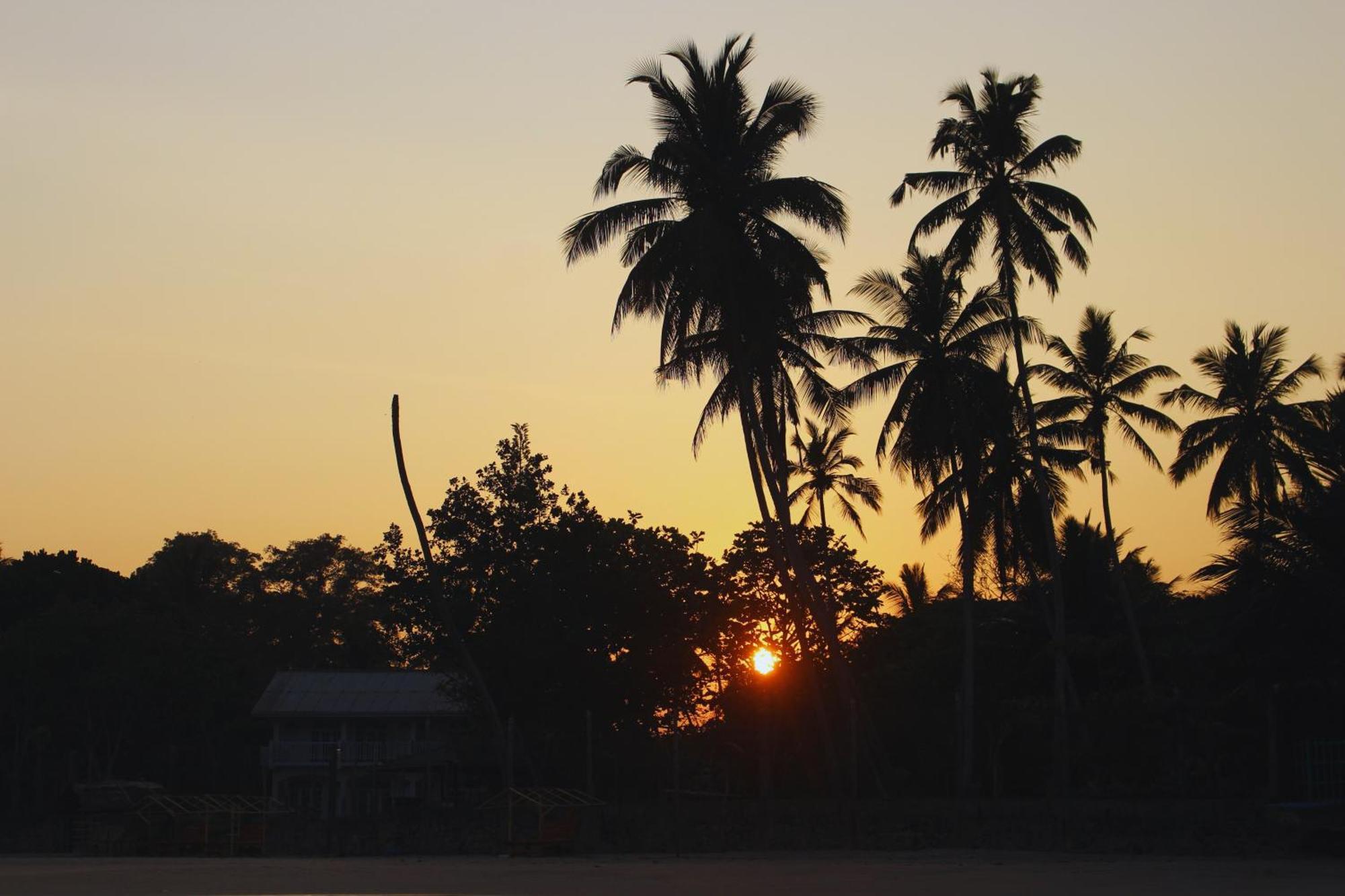 Calma - Surf, Yoga & Coffee On A Private Beach Dickwella Exterior foto