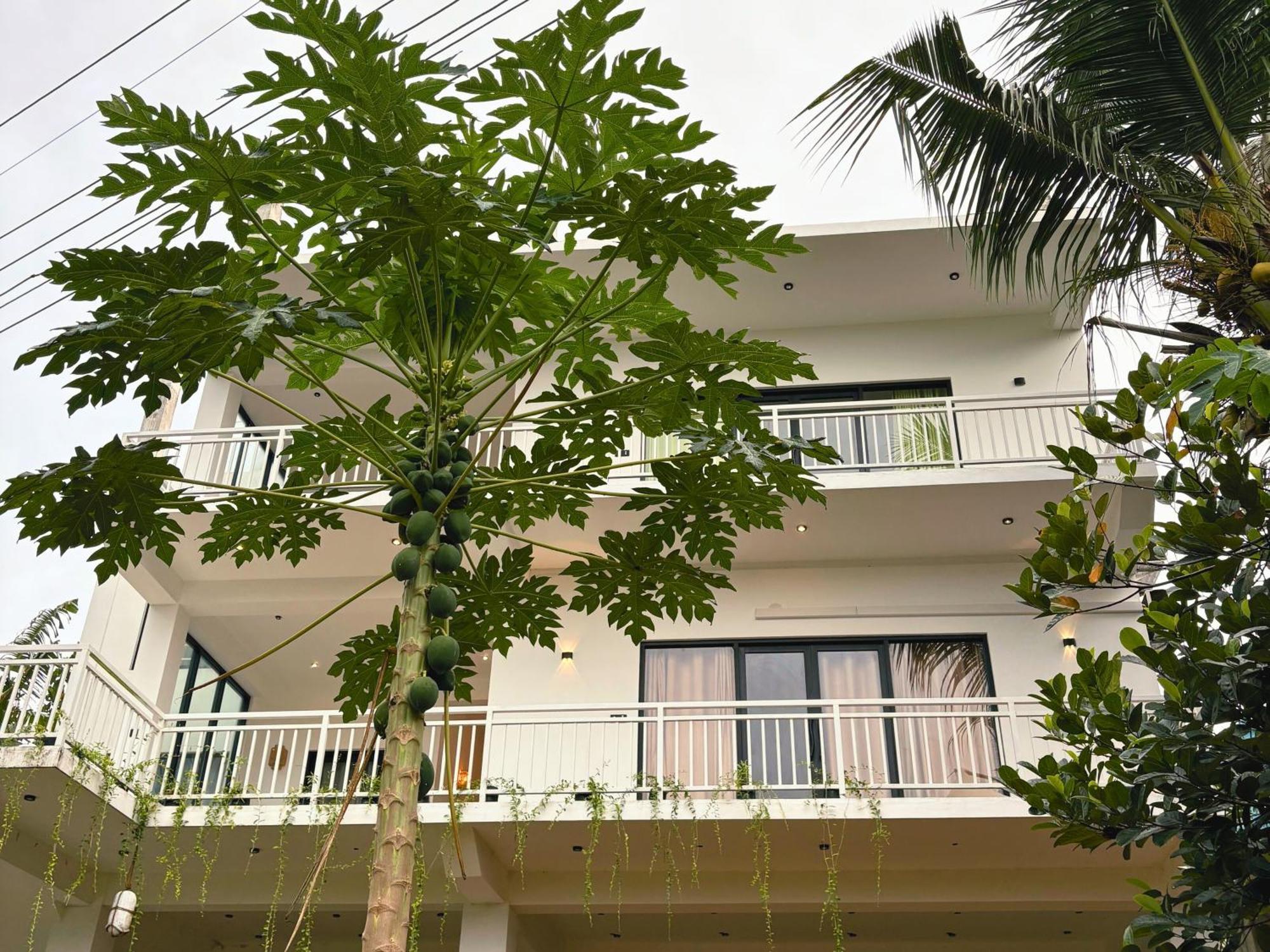 Calma - Surf, Yoga & Coffee On A Private Beach Dickwella Exterior foto