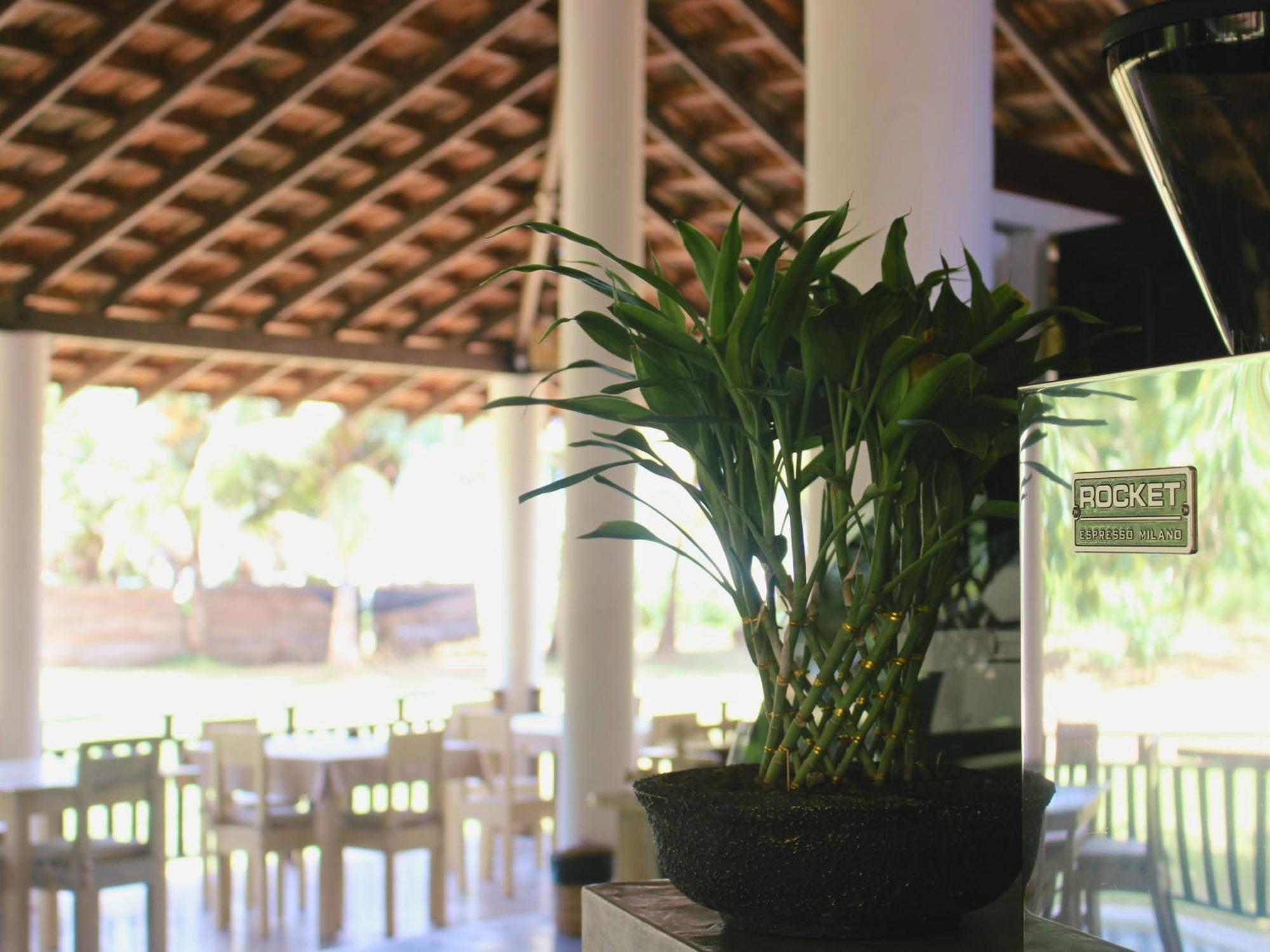 Calma - Surf, Yoga & Coffee On A Private Beach Dickwella Exterior foto